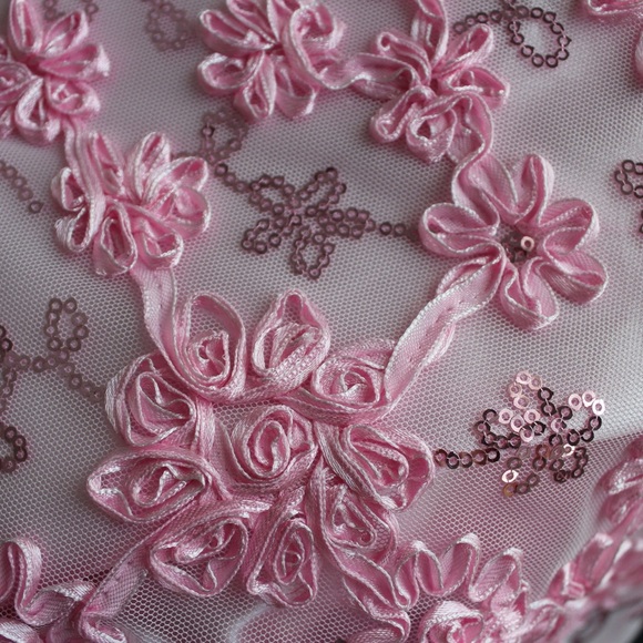 American Princess Pink Embroidered Dress - Picture 5 of 10